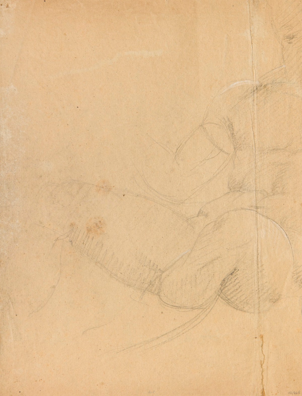 Benjamin Robert Haydon, Drawing of the figure of Theseus / Dionysos from the Elgin Marbles