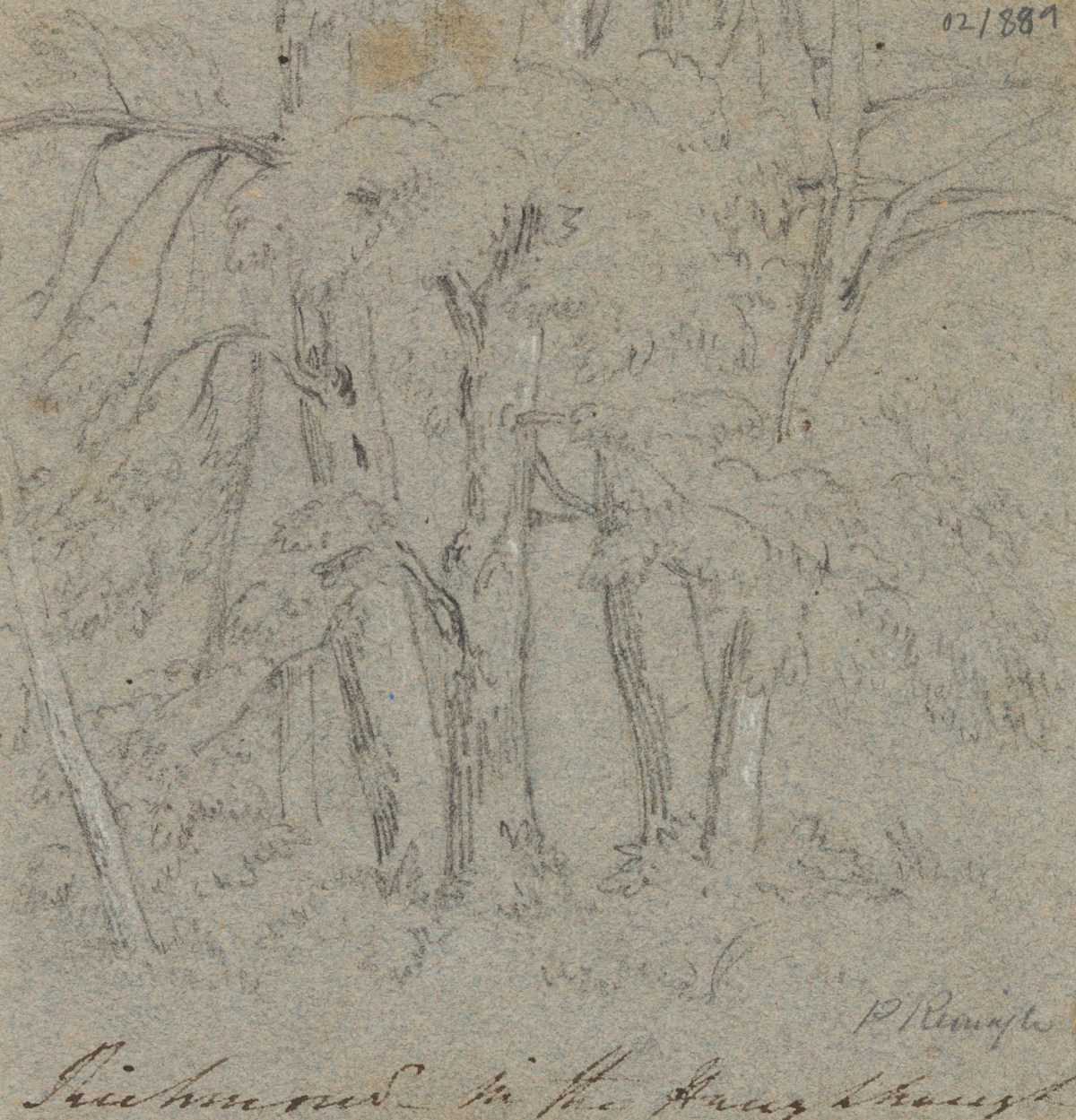 Philip Reinagle RA, Woodland in Richmond