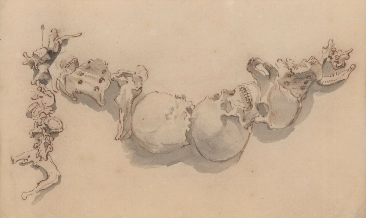 Jacob Schijnvoet, A garland of skulls, relating to Cheselden's Osteographia