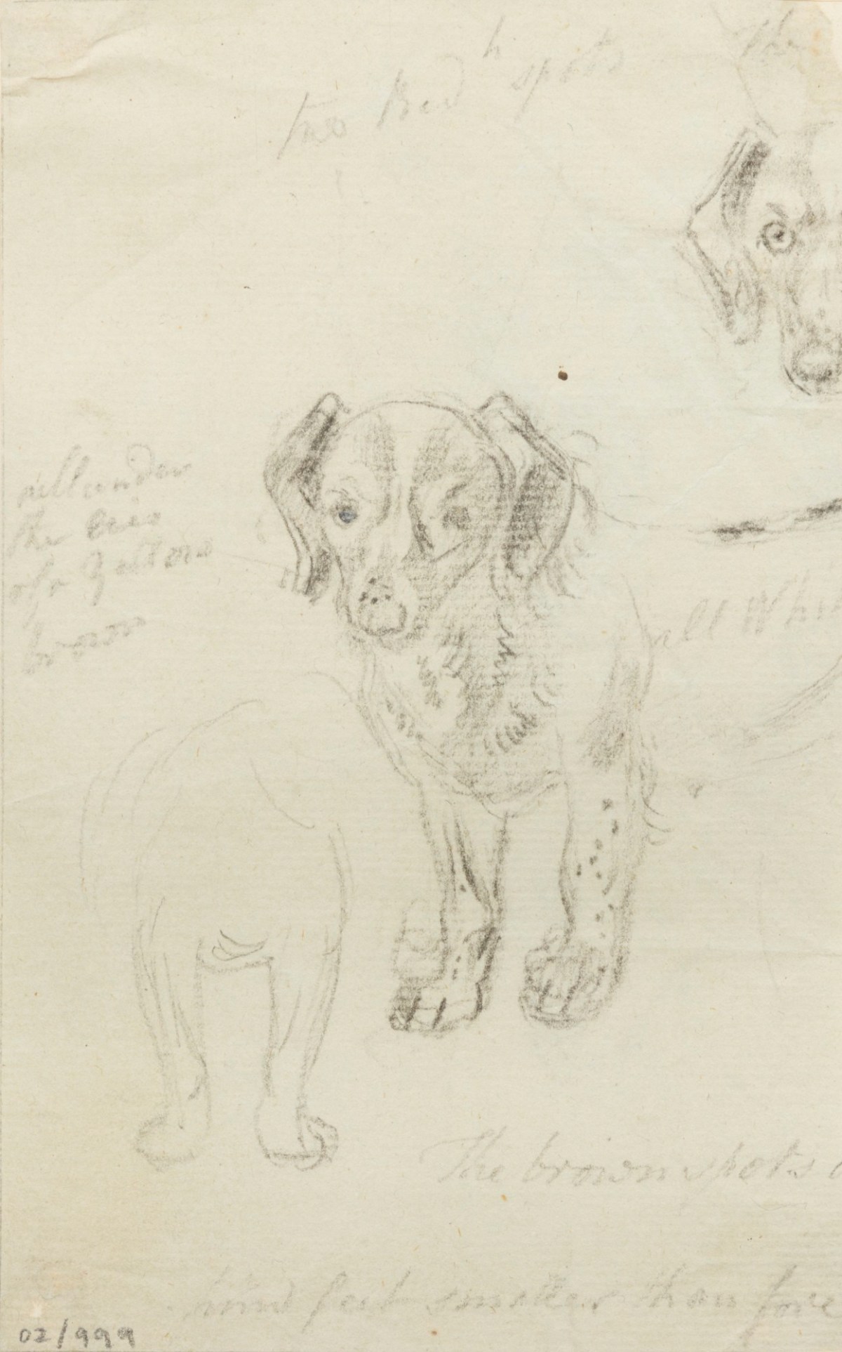 Philip Reinagle RA, Drawings of a dog