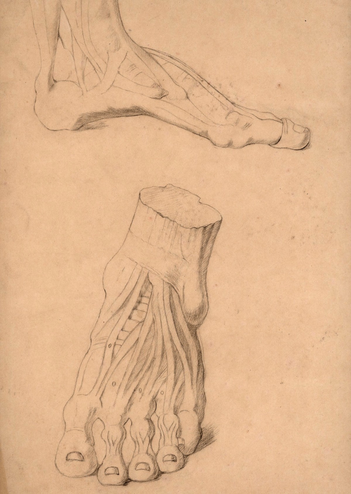 Sir William Quiller Orchardson RA, Two anatomical drawings of a left foot