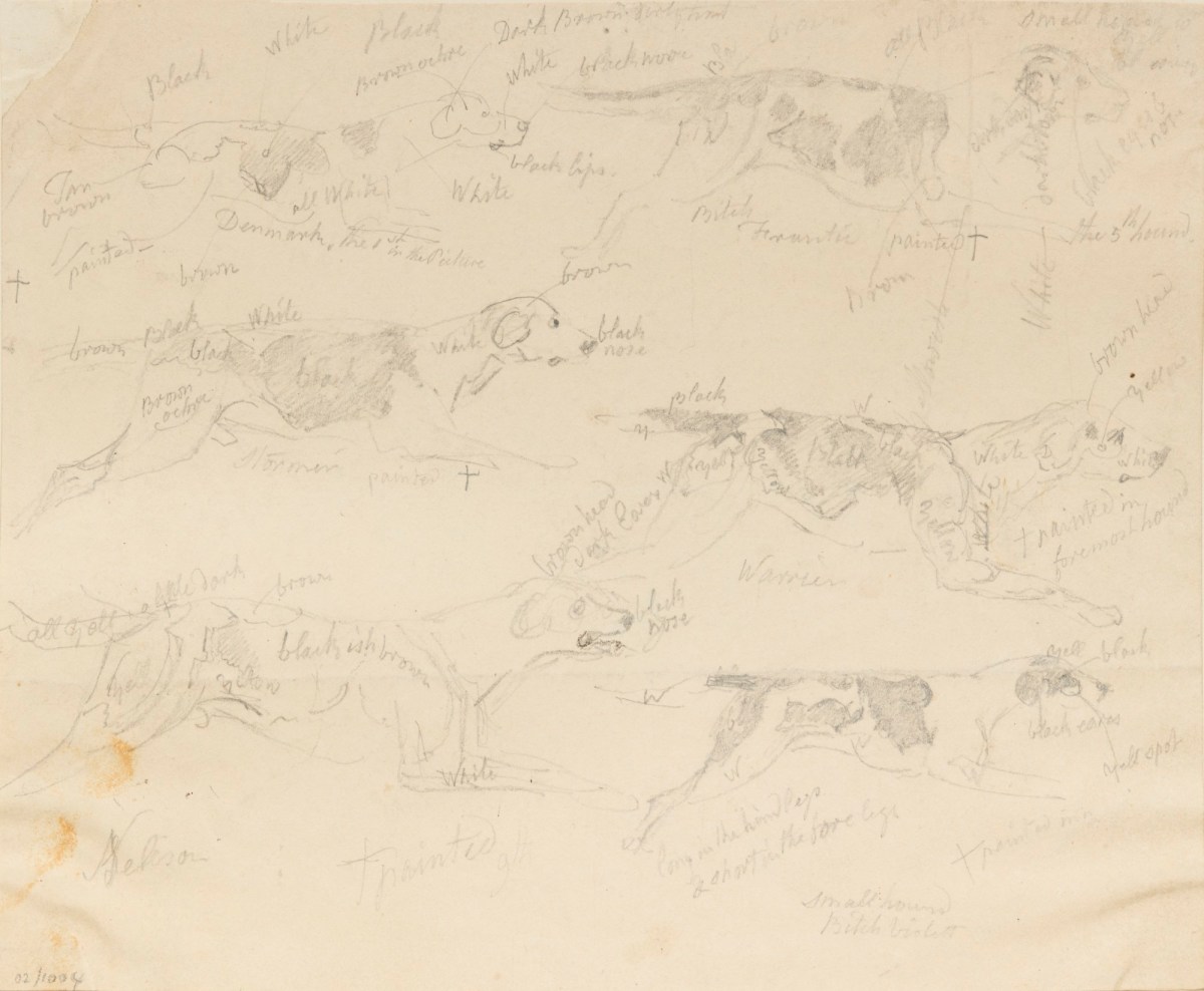 Philip Reinagle RA, Annotated sketches of dogs running