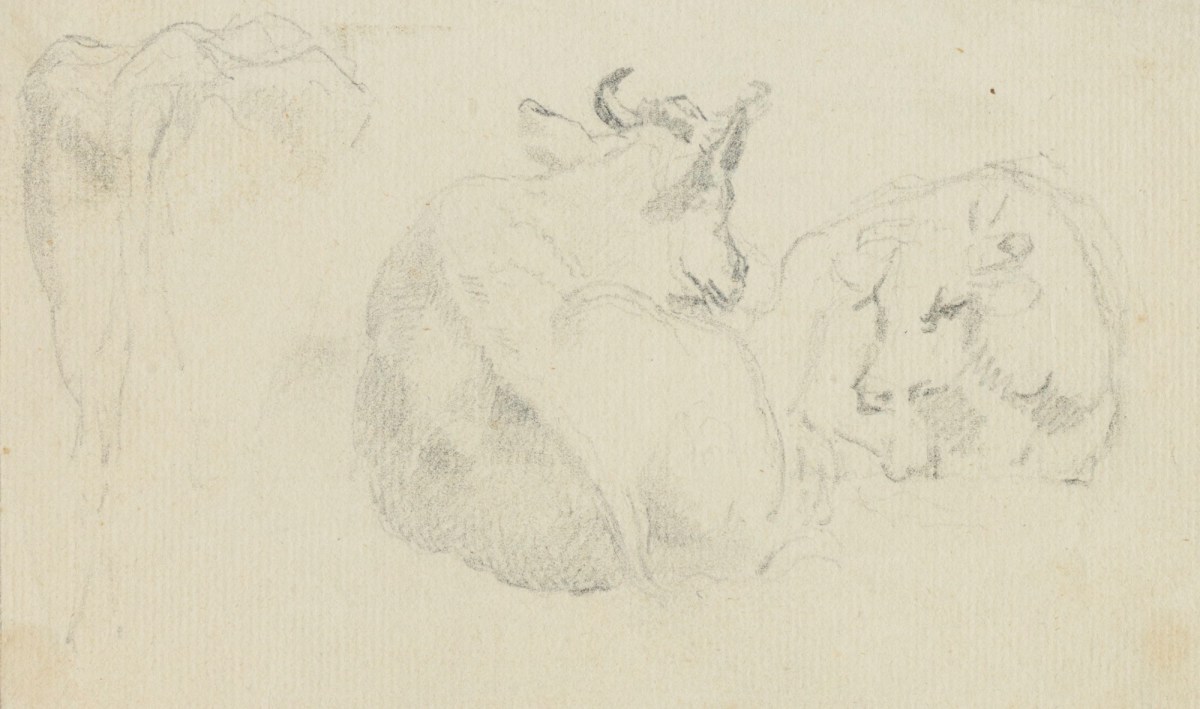 Philip Reinagle RA, Sketch of cattle