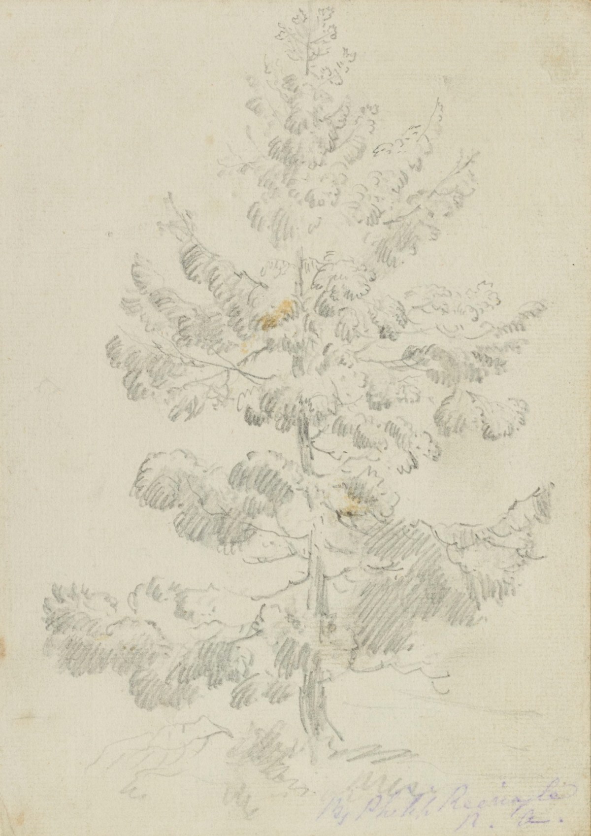 Philip Reinagle RA, Sketch of a tree
