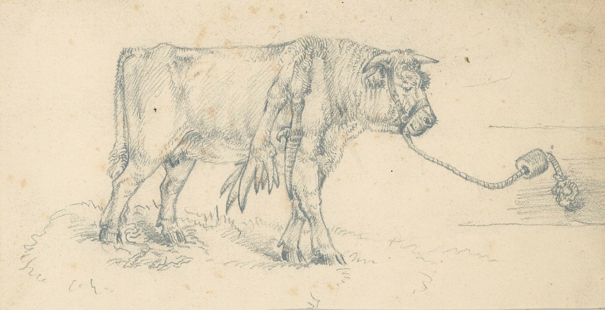 Sir Edwin Landseer RA, Lusus Naturae