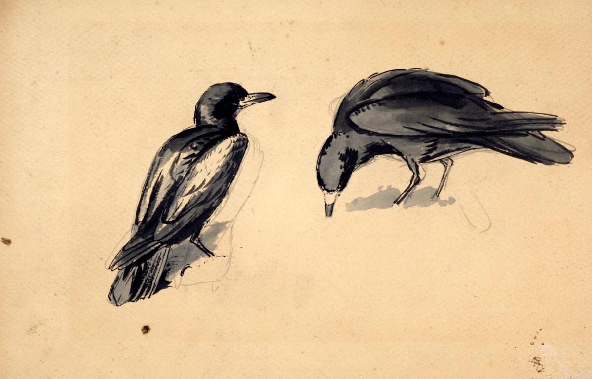 Sir John Everett Millais Bt. PRA, Study of two rooks for 'Christmas Eve 1887'