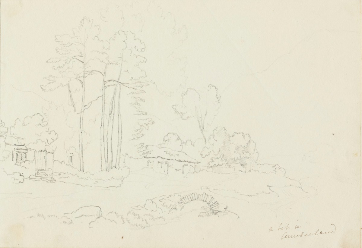 Oriana Georgiana Reinagle, Sketch of a fir in Cumberland