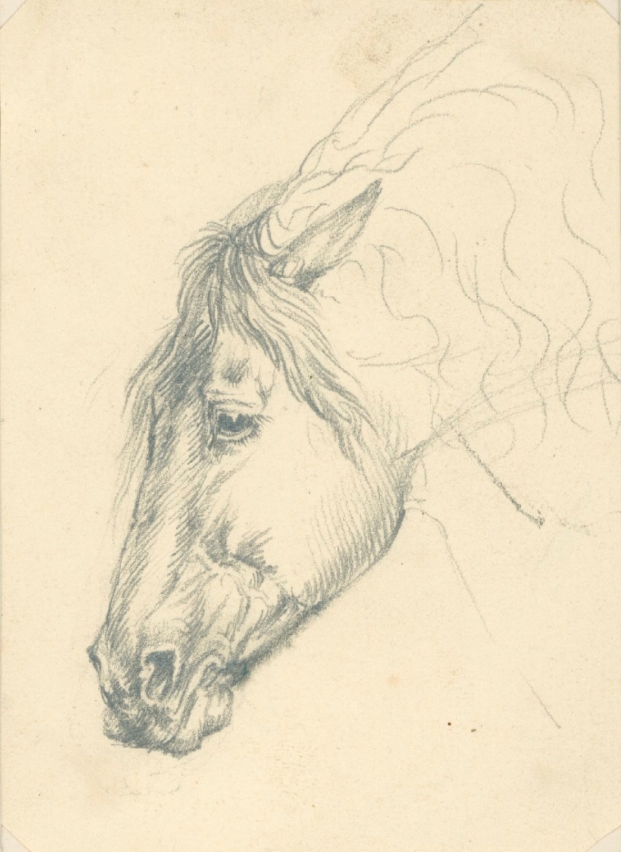Sir Edwin Landseer RA, Horse's head bending down
