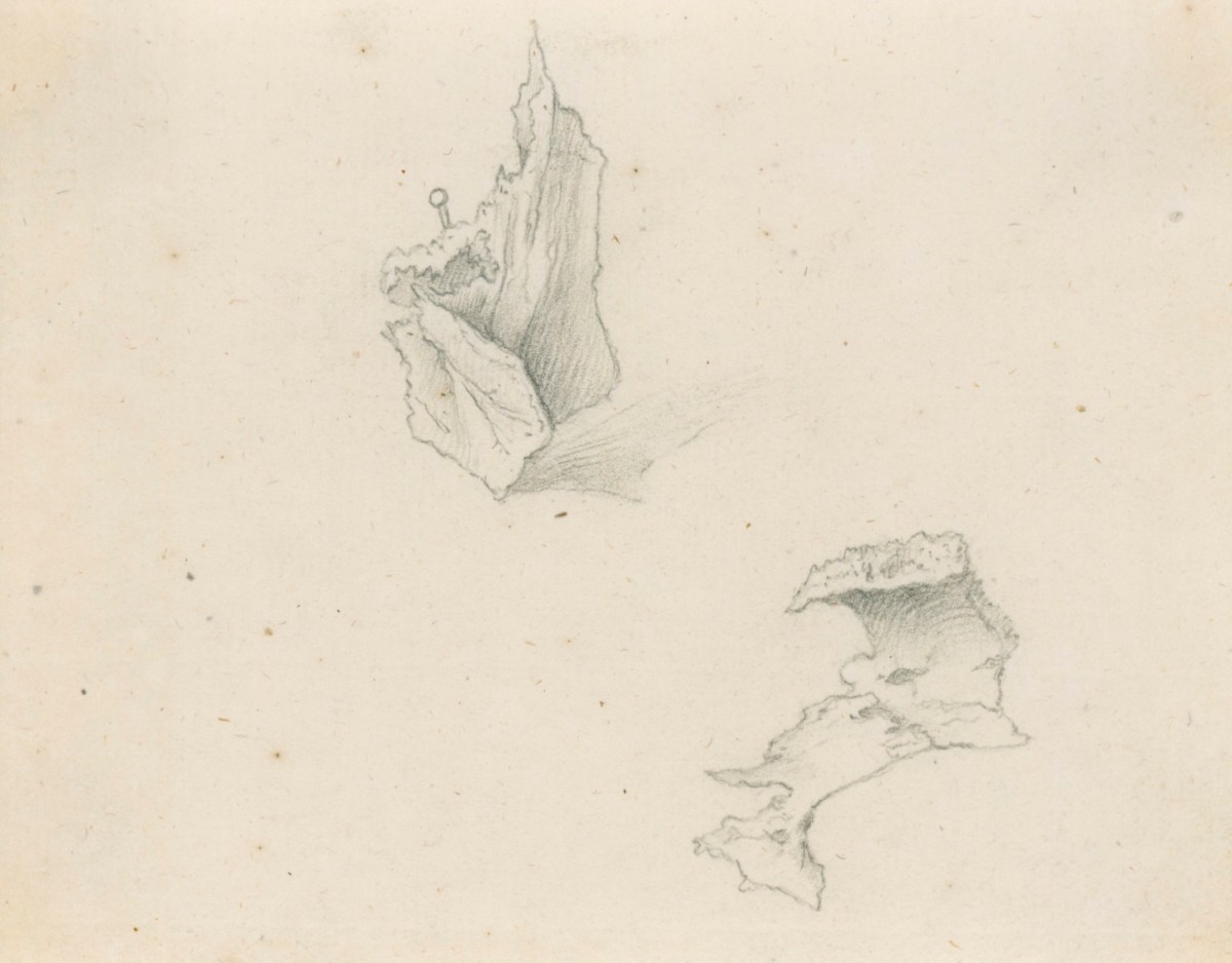 Jacob Schijnvoet, The os palati and the vomer, bones of the skull, for Cheselden's Osteographia