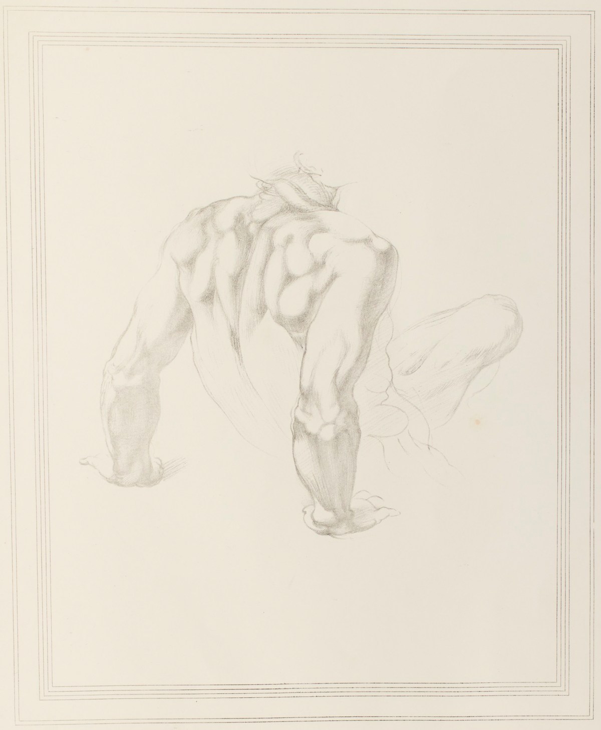 Michelangelo Buonarroti, 'Study of the body of a male subject' attributed to Michelangelo Buonarroti