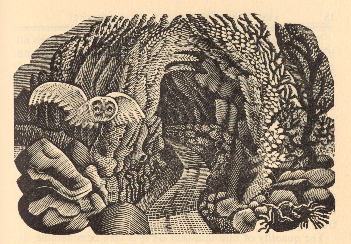 Eric Ravilious, Owl on a rocky hollow lane