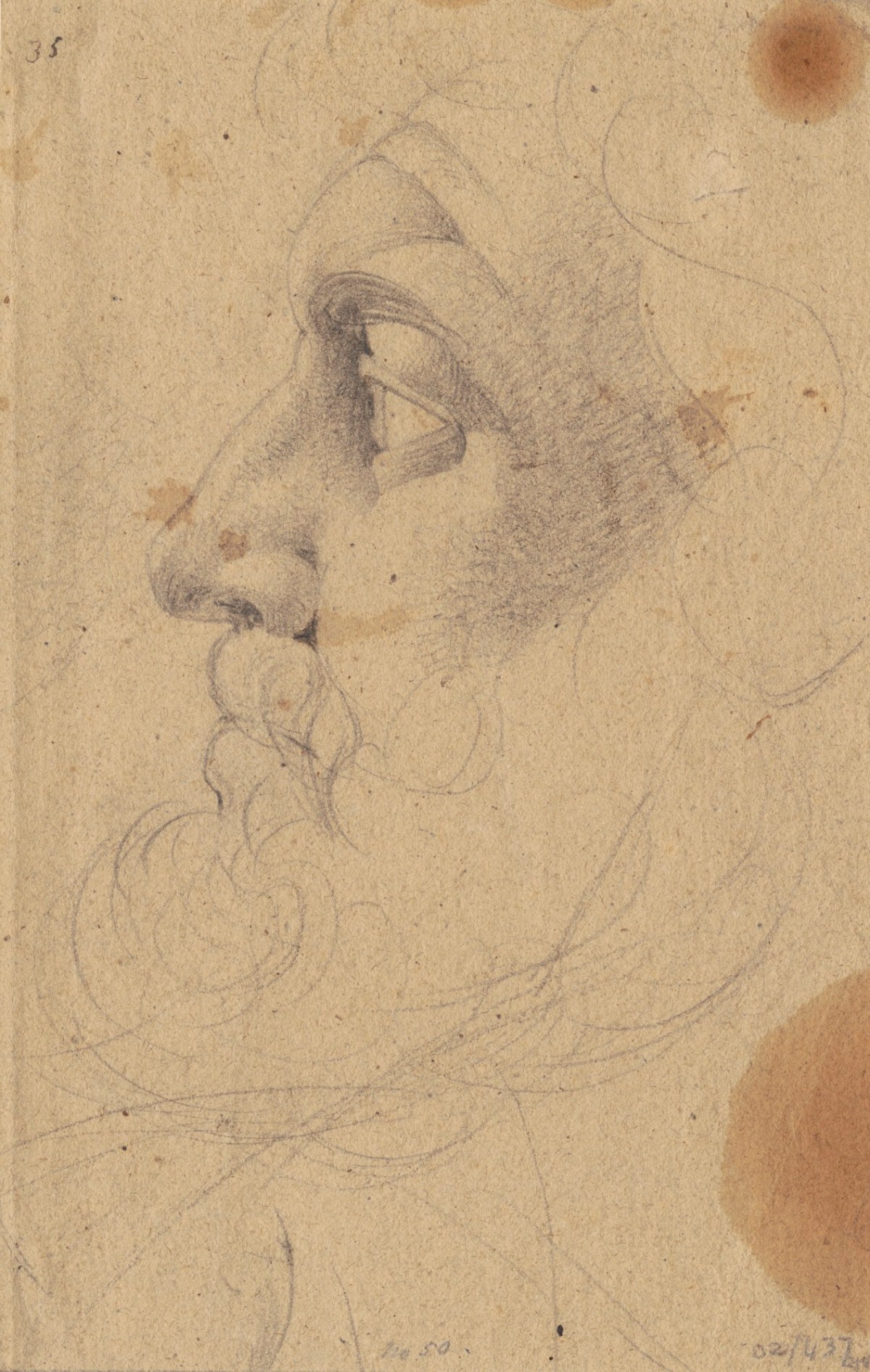 Benjamin Robert Haydon, Face of a bearded man in profile