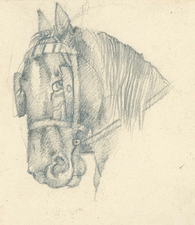 Sir Edwin Landseer RA, Horse's head with reins and blinkers, in profile