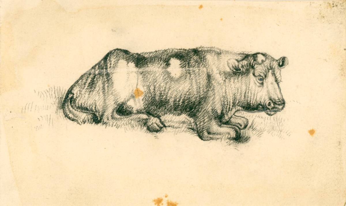 Sir Edwin Landseer RA, A cow lying down, in profile