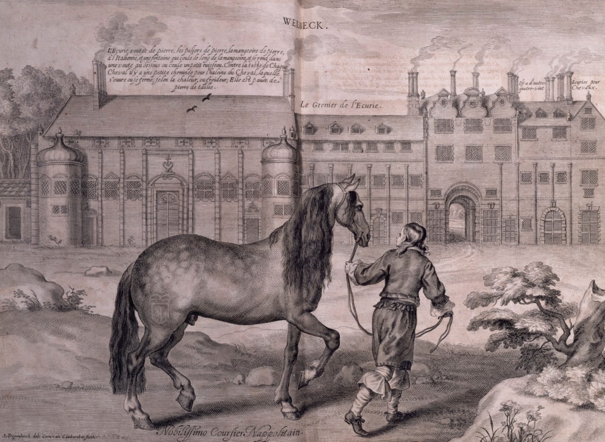 Abraham van Diepenbeeck, Nobilissimo Coursier Nappolitain