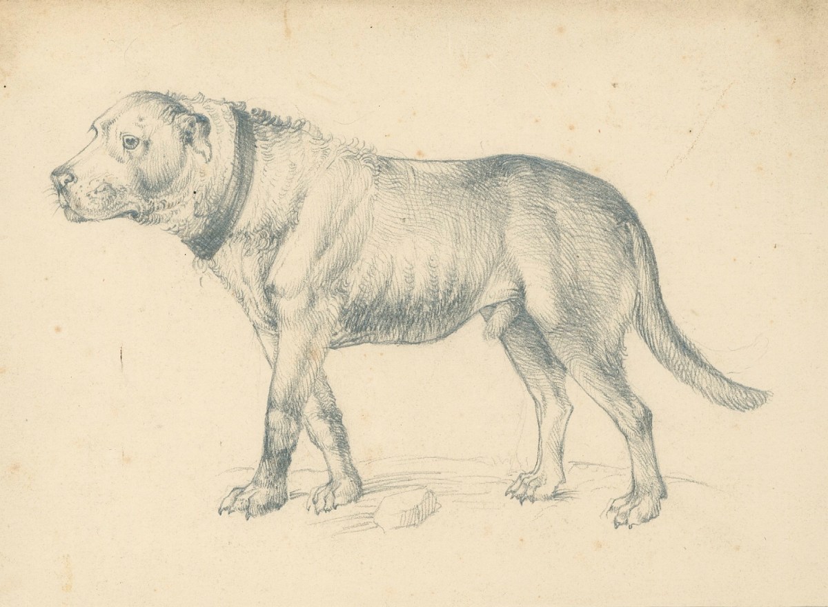 Sir Edwin Landseer RA, Suspicious