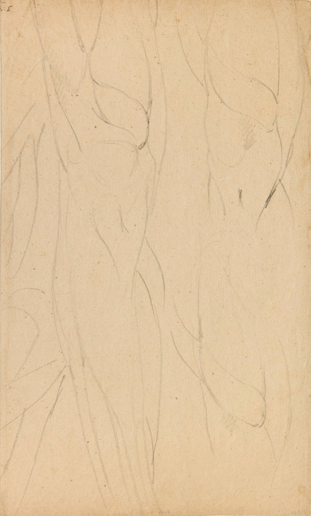 Benjamin Robert Haydon, Sheet of chalk drawings of the muscles of the leg