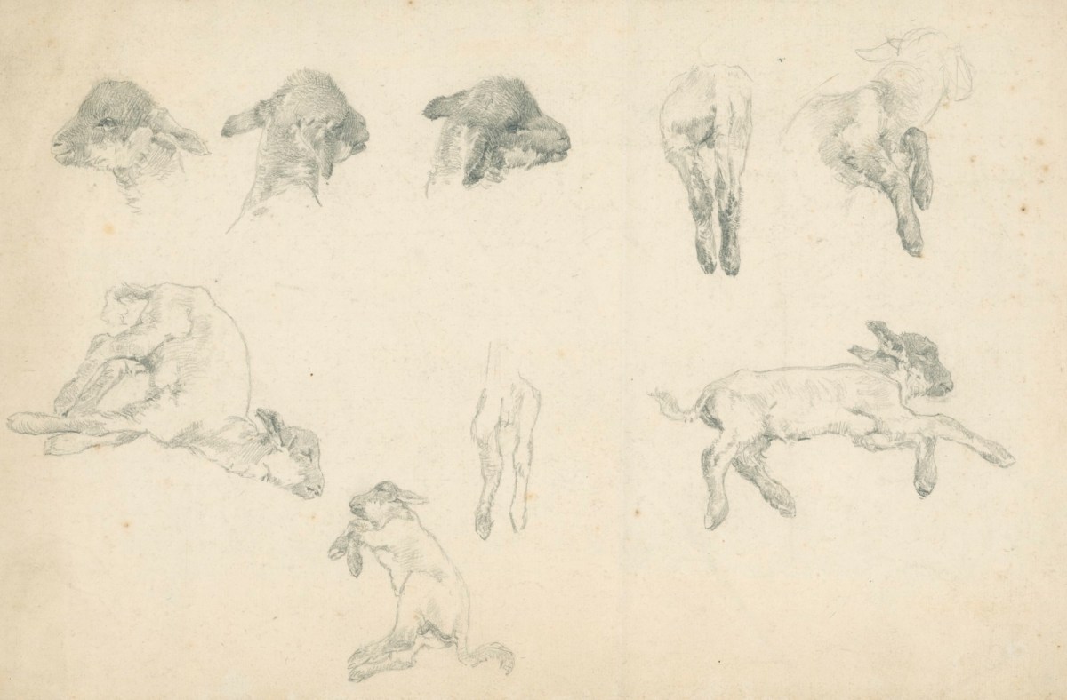 Alfred Parsons RA, Sketches of a lamb