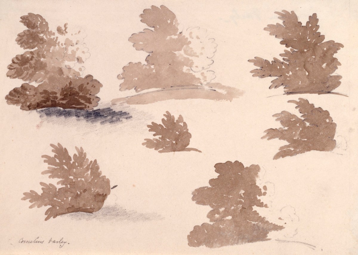 Cornelius Varley, Sketches of trees and foliage