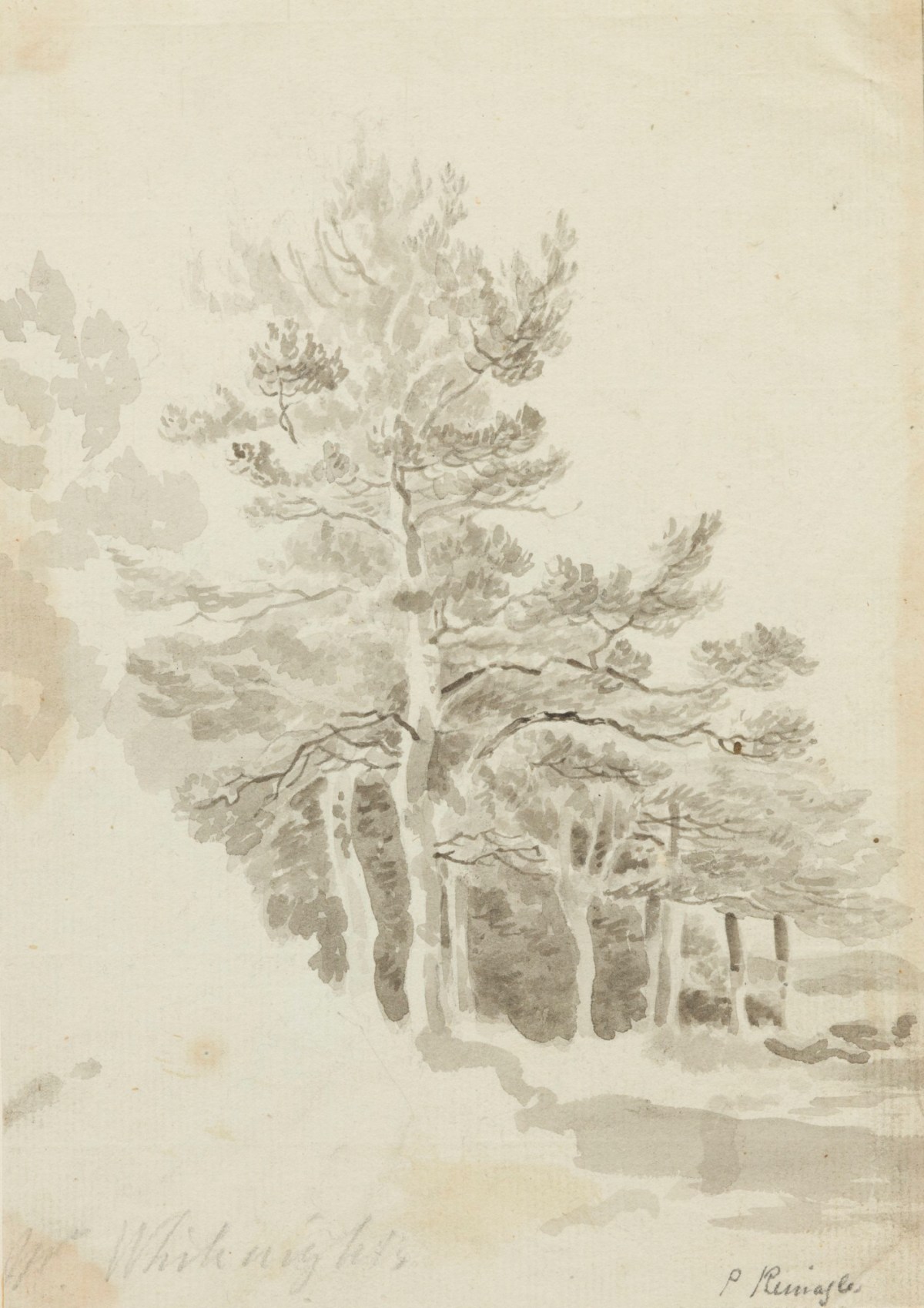Philip Reinagle RA, Drawing of trees