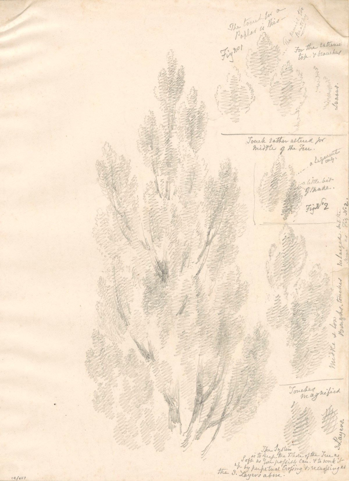 Oriana Georgiana Reinagle, Studies of trees