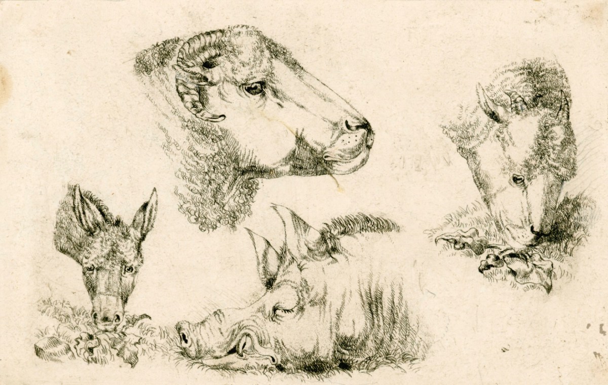 Sir Edwin Landseer RA, Studies in a Farmyard