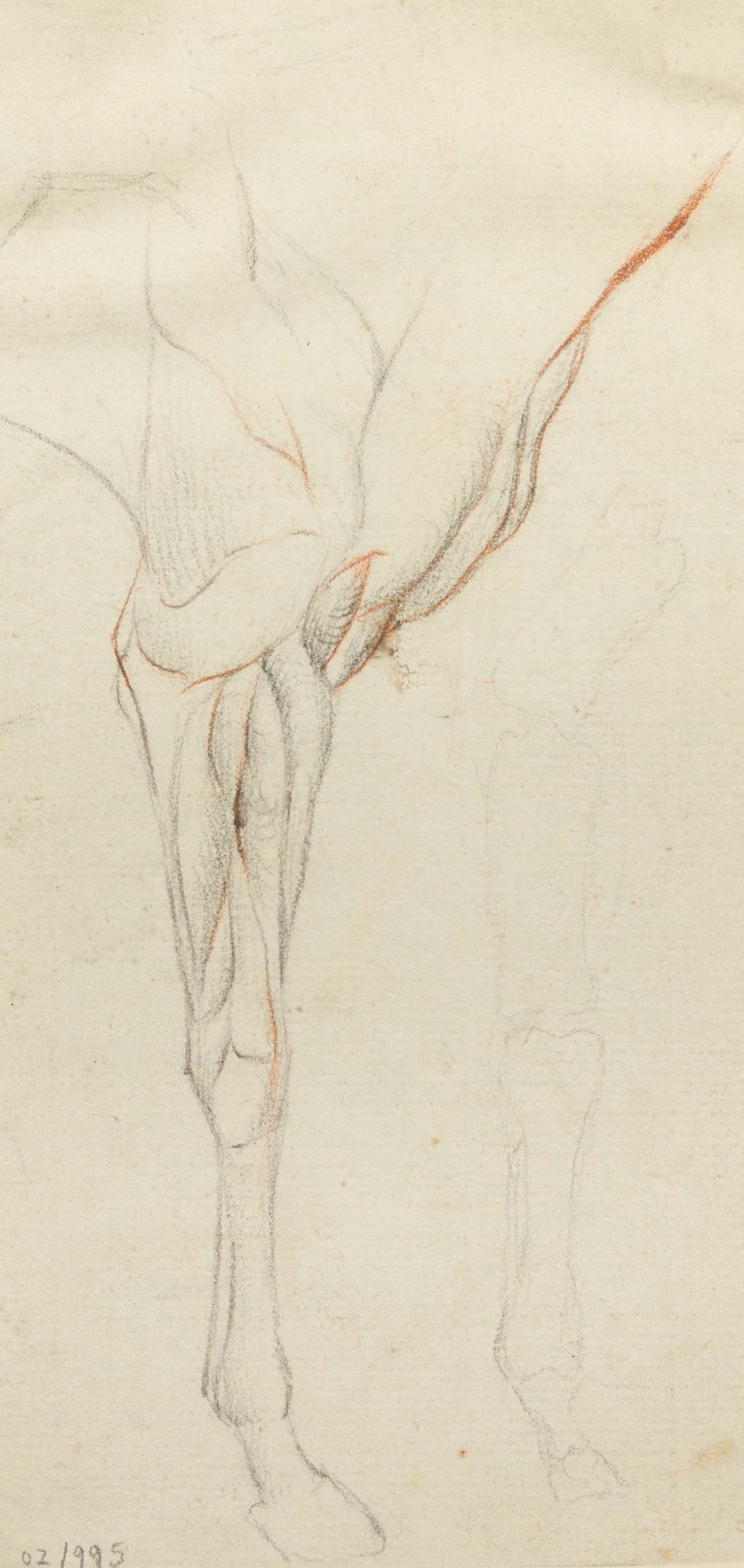 Philip Reinagle RA, Anatomical study of the front legs of a horse