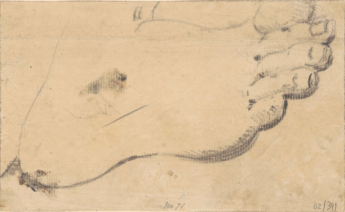 Benjamin Robert Haydon, Drawing of a foot