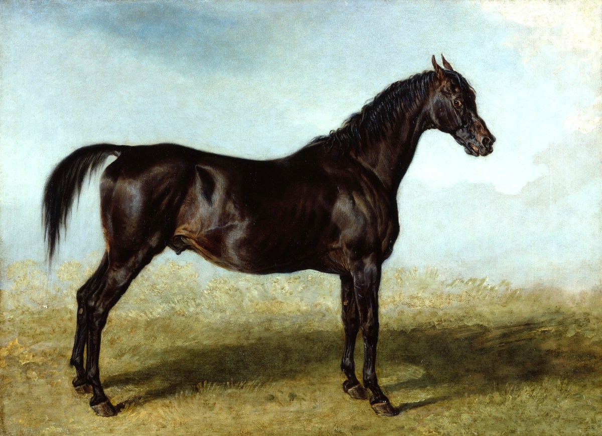 В каком произведении был конь. James Ward художник. Лошадь художник. Лошади 1822.