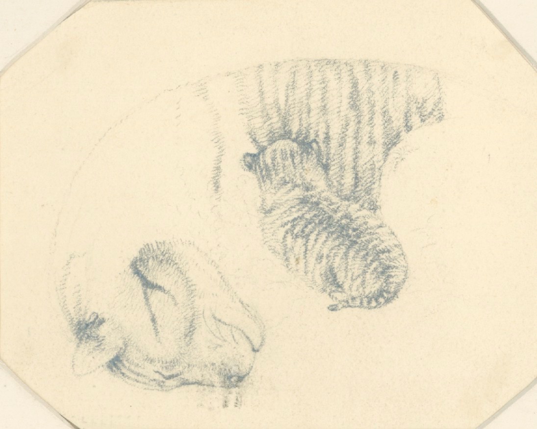 Sir Edwin Landseer RA, A sleeping cat with a feeding kitten