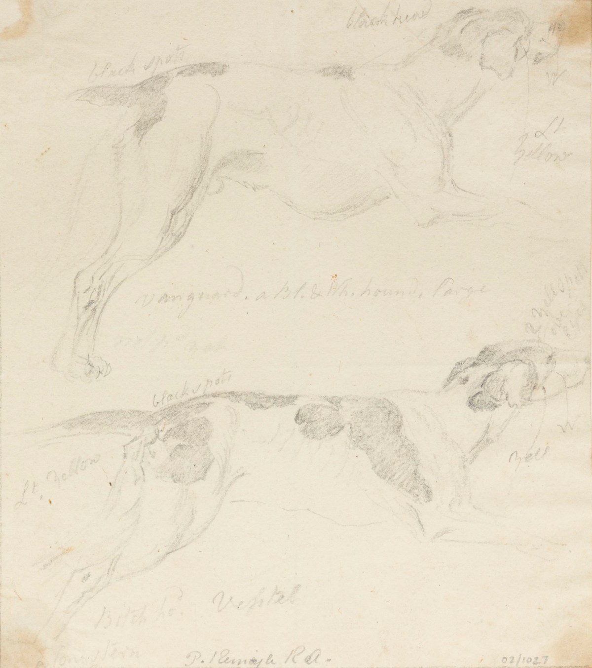 Philip Reinagle RA, Sheet with two drawings of running dogs in profile