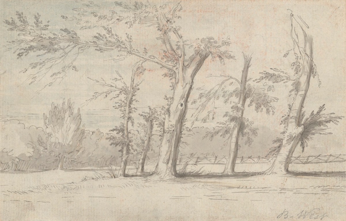 Benjamin West PRA, Study of trees in a wooded landscape