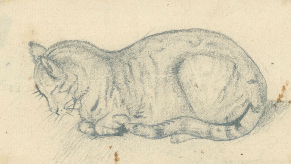 Sir Edwin Landseer RA, A sleeping cat in profile
