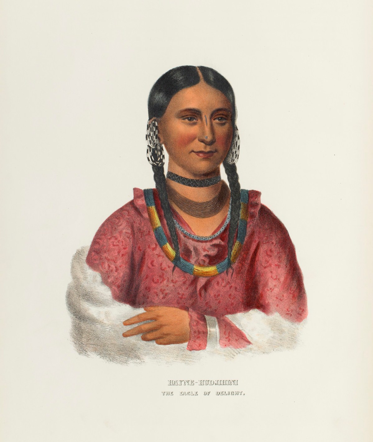 Charles Bird King, Haine - Hudjihini, the Eagle of Delight