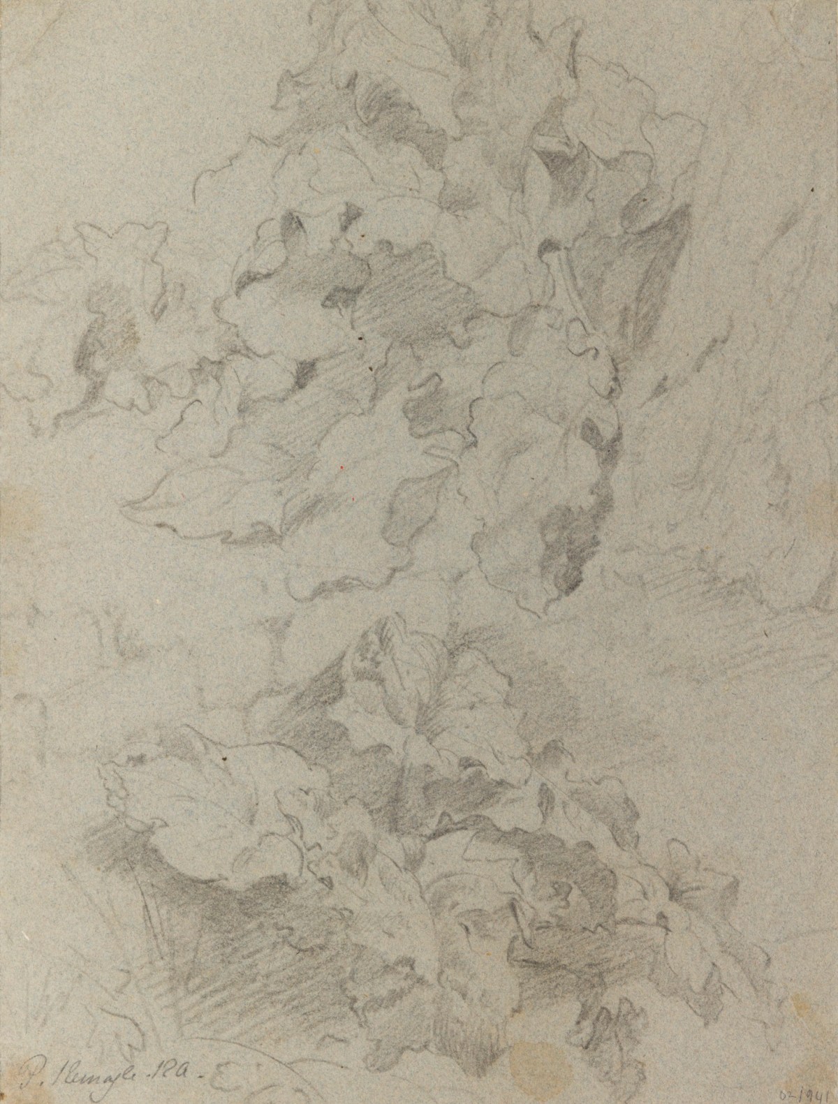 Philip Reinagle RA, Foliage