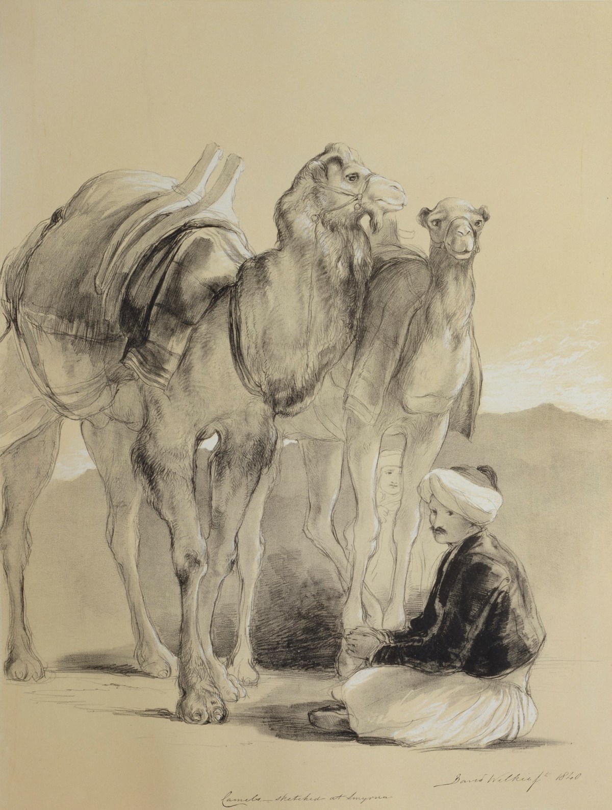 Sir David Wilkie RA, Camels sketched at Smyrna