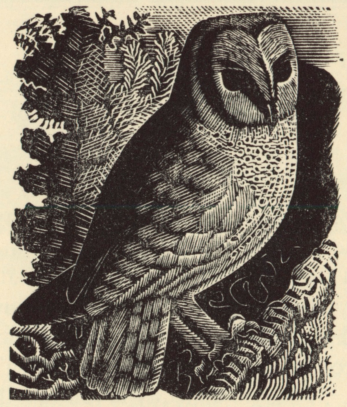 Eric Ravilious, Tawny Owl
