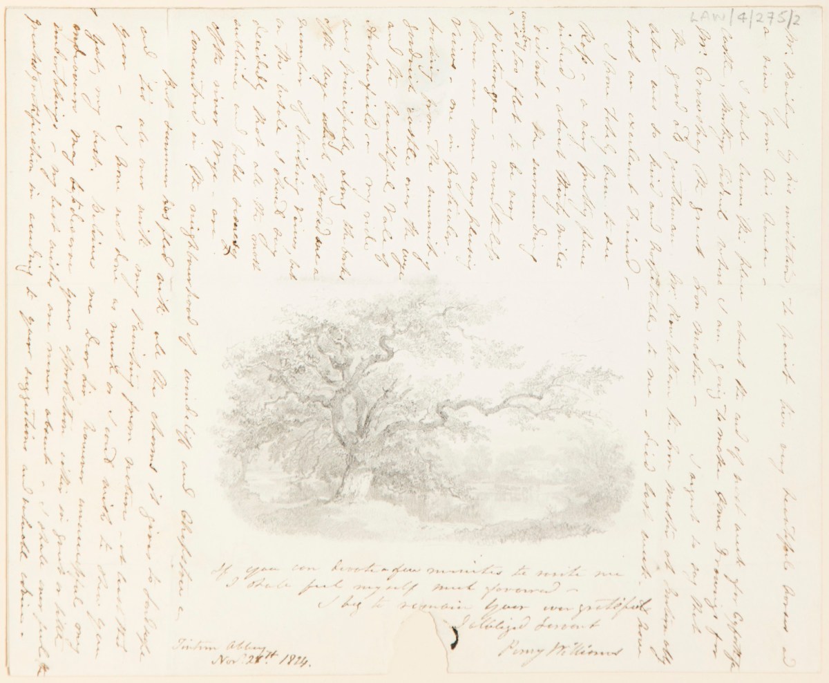 Penry Williams, Sketch of a large oak tree in a landscape, drawn on a letter