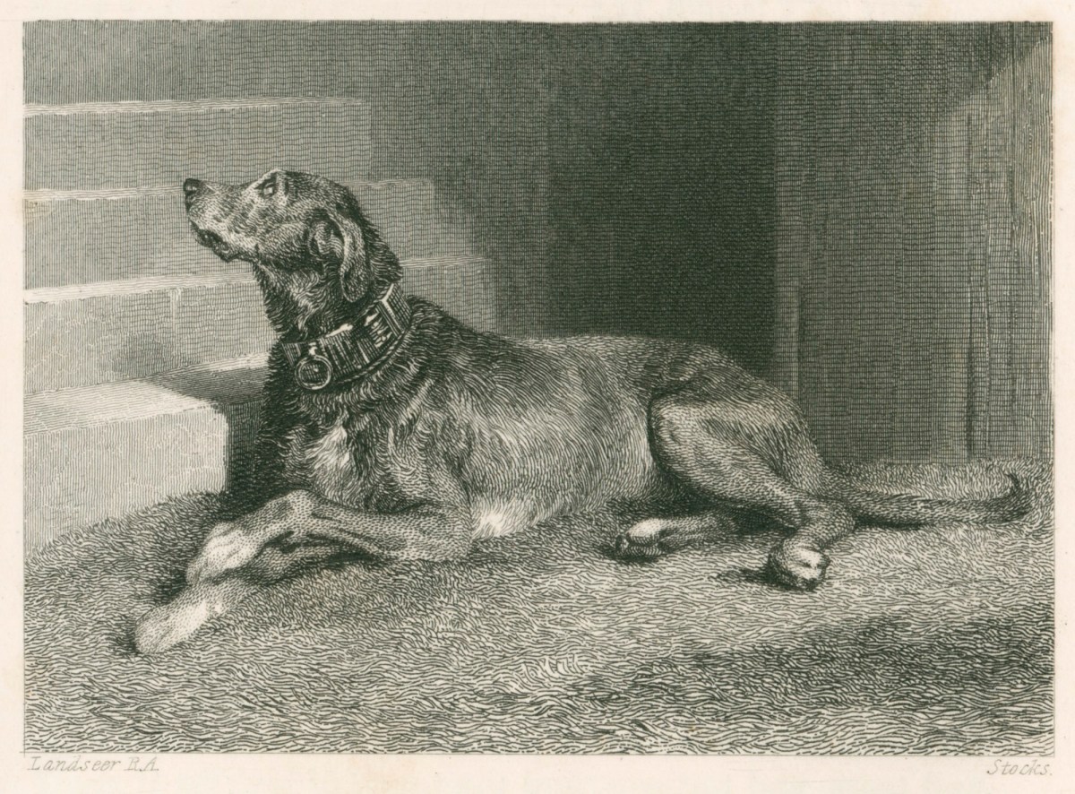 Sir Edwin Landseer RA, The Dog