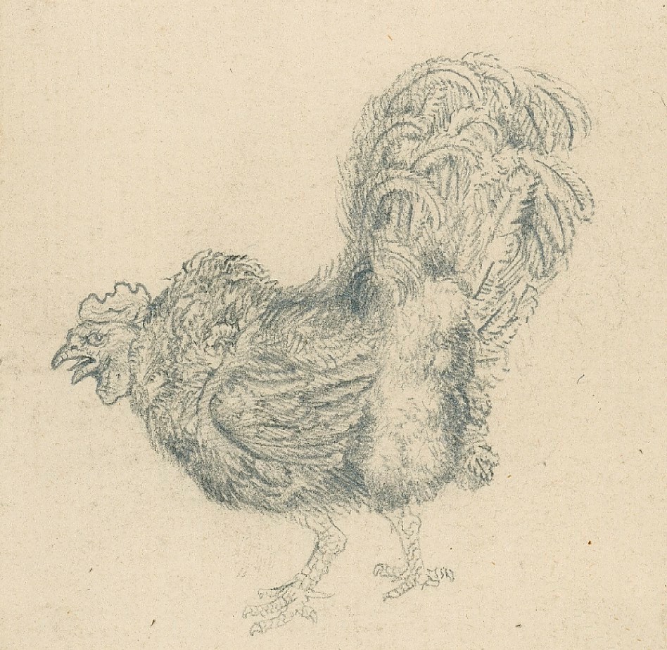 Sir Edwin Landseer RA, A cockerel