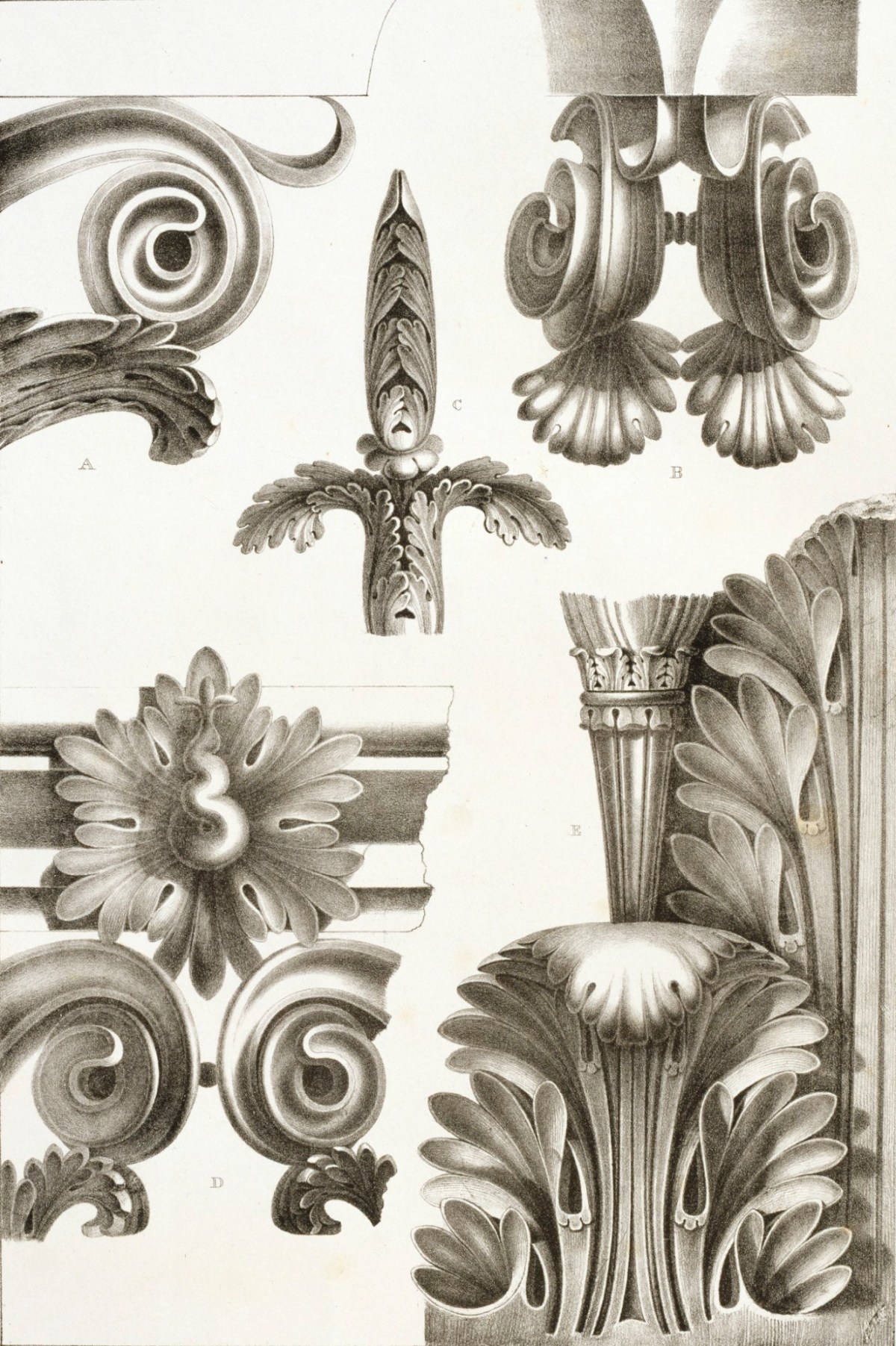 G.L. Taylor and Edward Cresy, Portico of The Pantheon, Rome: the various members of the capitals, one quarter their actual size