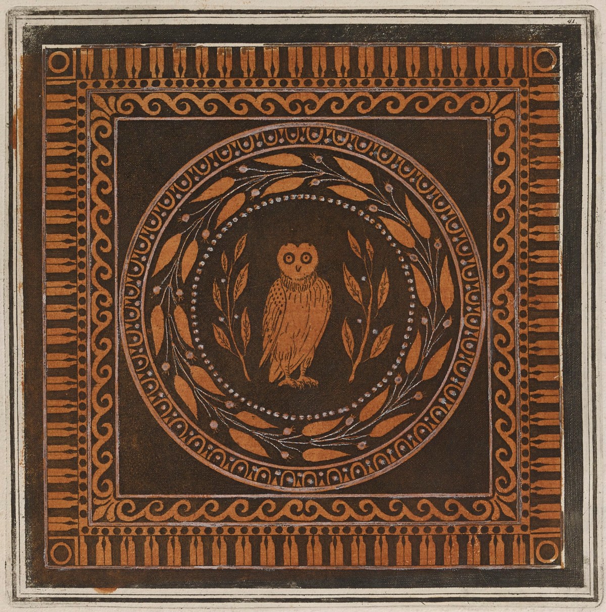 Sir William Hamilton, Colour plate of an owl, from a cotyle