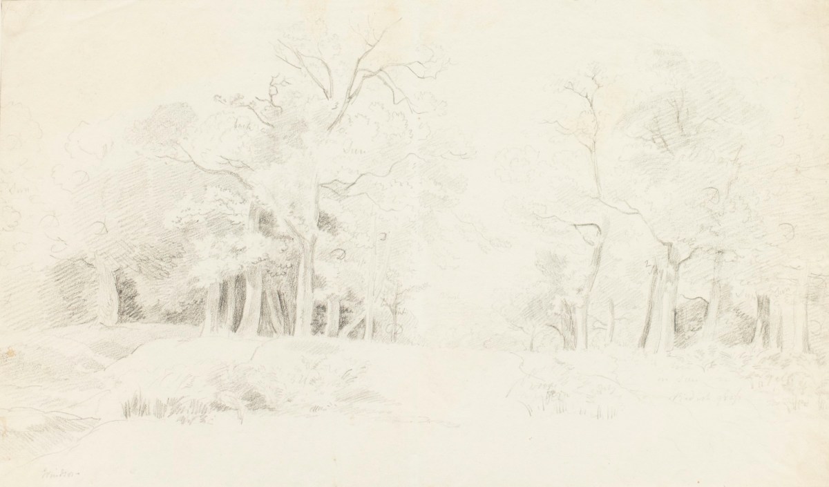 Philip Reinagle RA, Sketch of a woodland in Windsor