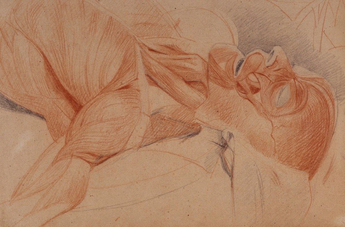 Benjamin Robert Haydon, Anatomical drawing of the head, shoulders and chest of a cadaver (anterior view)