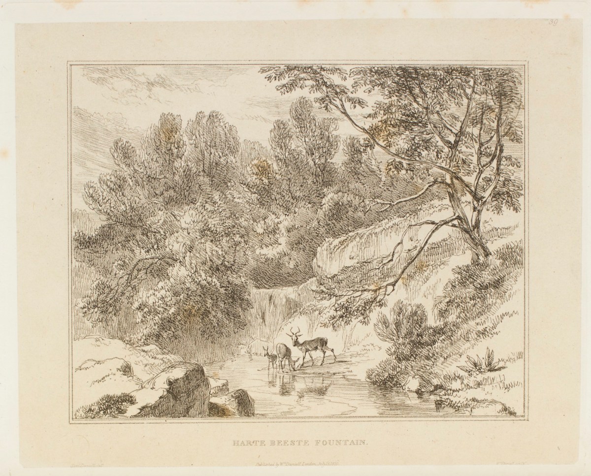 Samuel Daniell, The harte-beeste fountain