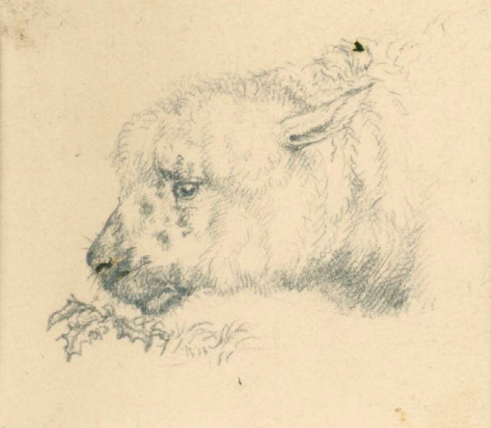 Sir Edwin Landseer RA, Head of a calf (?)