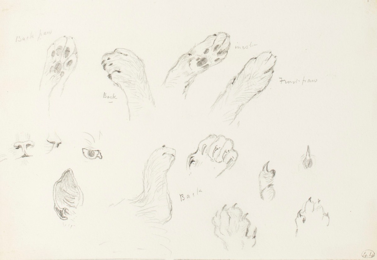 26396 Cat Paw Print Drawing Images Stock Photos  Vectors  Shutterstock