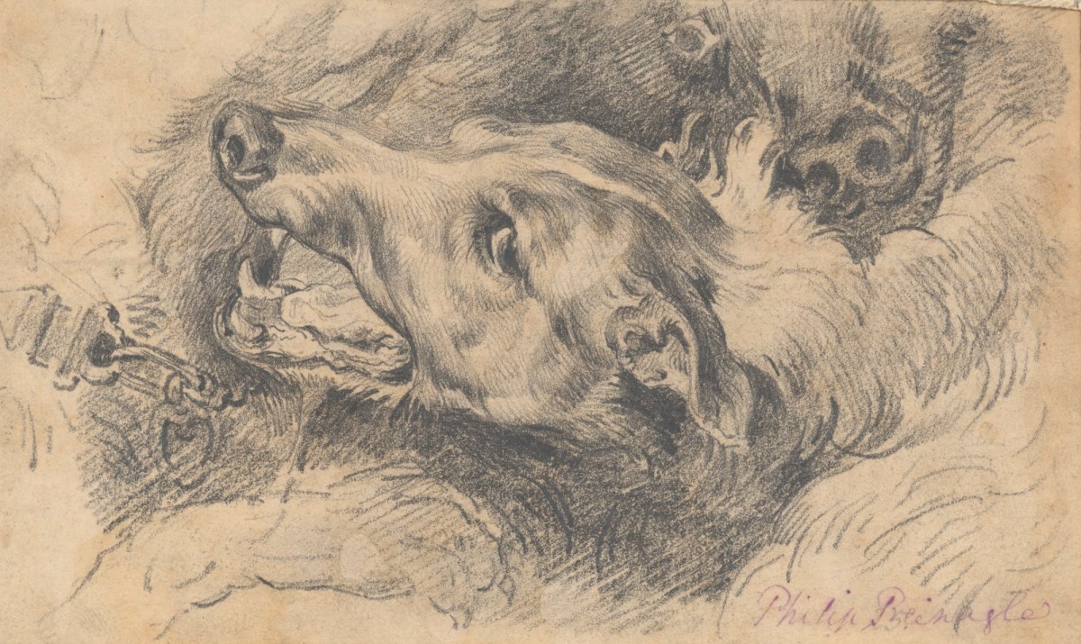 Philip Reinagle RA, Head of a dog