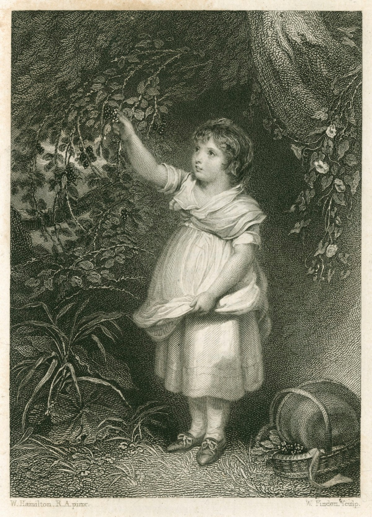 William Hamilton RA, The Blackberry Boy