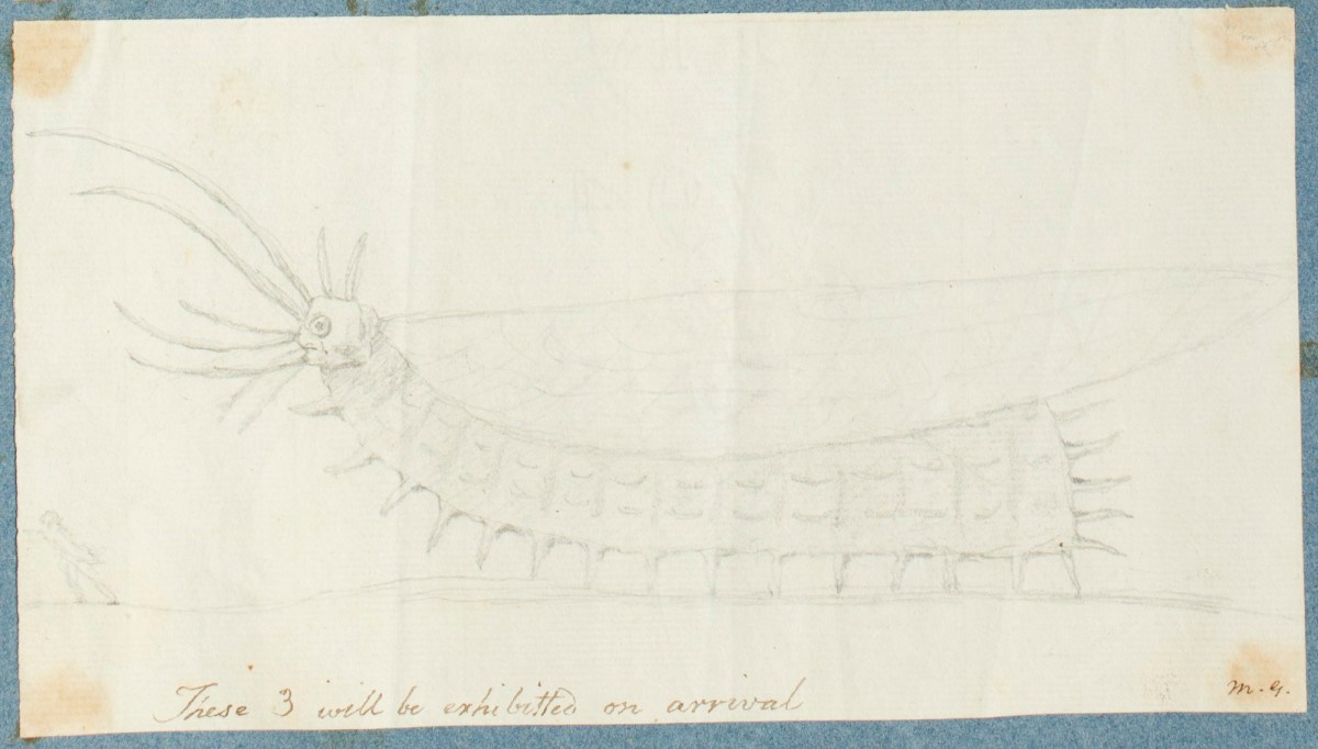 Unidentified British artist, Imaginary giant insect chasing a man